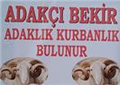 Adakçı Bekir - Bursa